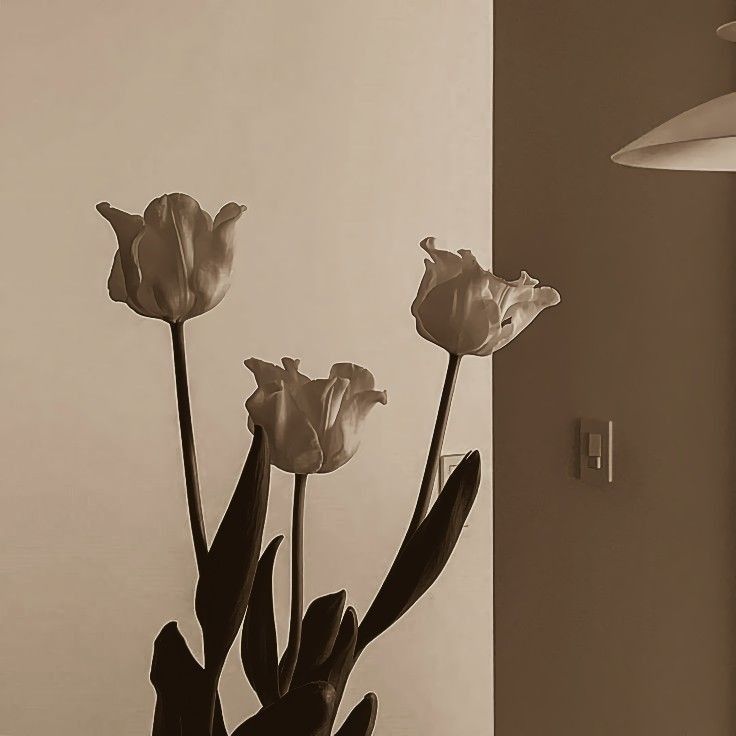 Two New Cleaning Routines for Spring